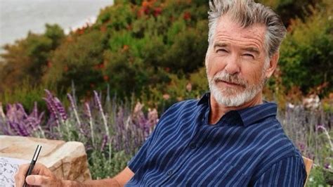 pierce brosnan pleads guilty today